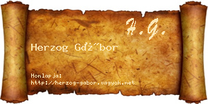 Herzog Gábor névjegykártya